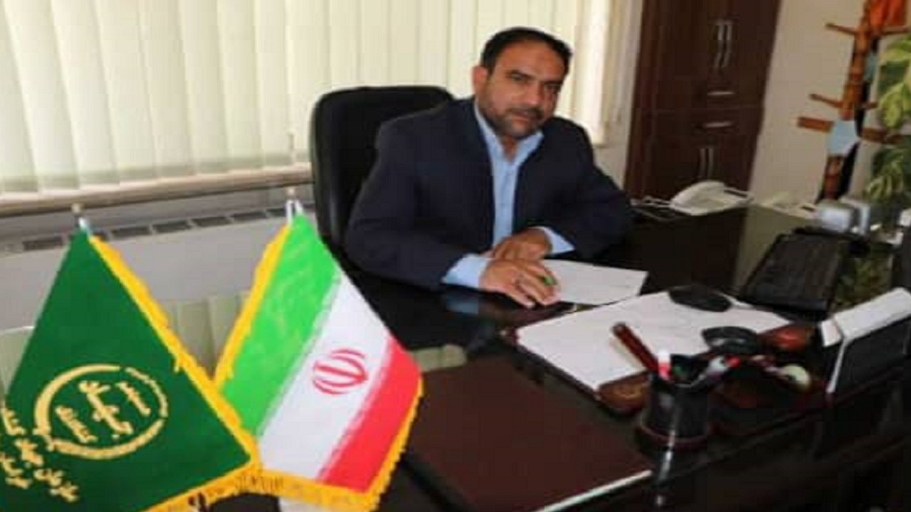 کاشمر می‌تواند در پرورش ماهی به برتری برسد