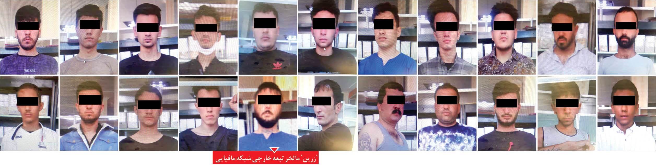 &laquo;هشت پا&raquo; در لانه مافیا!