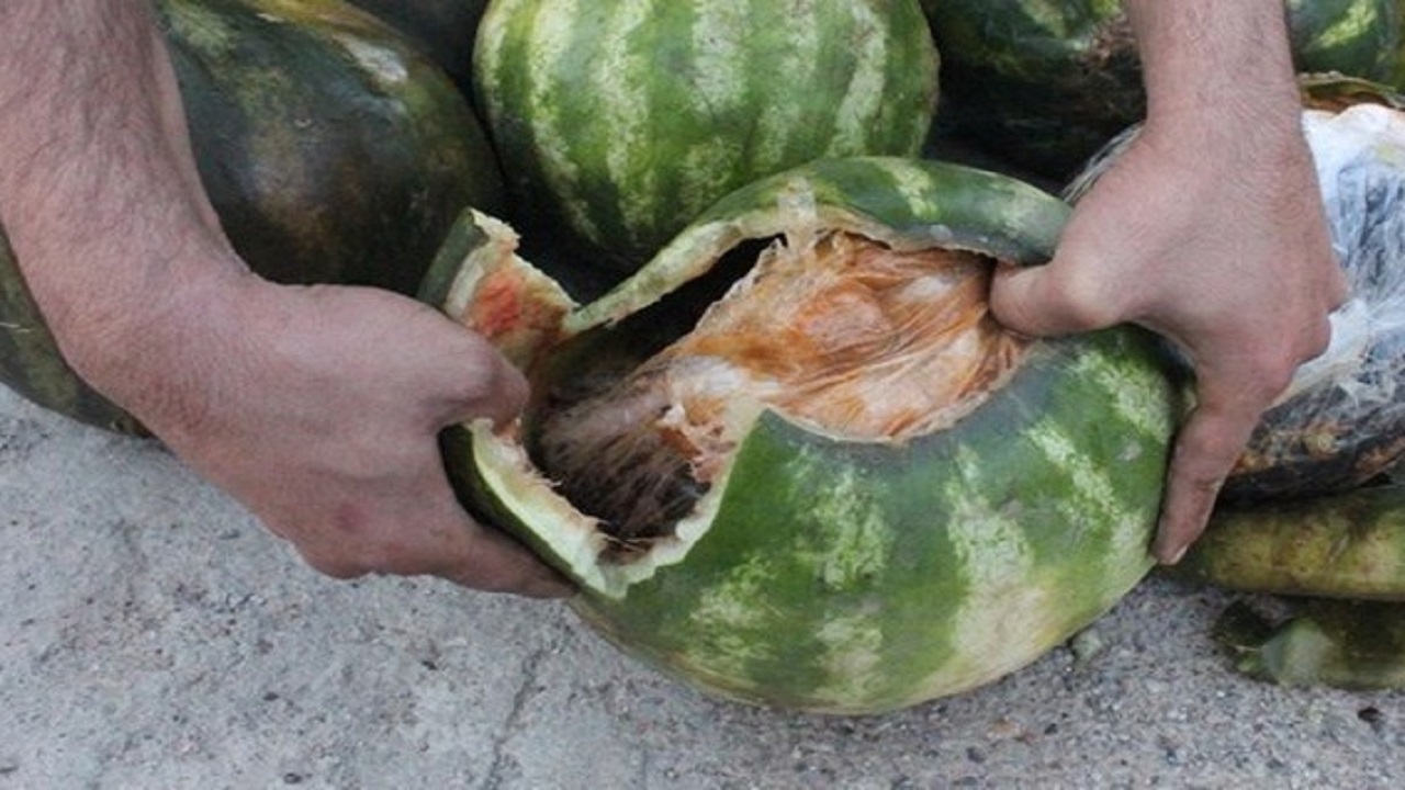 کشف ۲۴۹کیلوگرم موادمخدر در خراسان رضوی