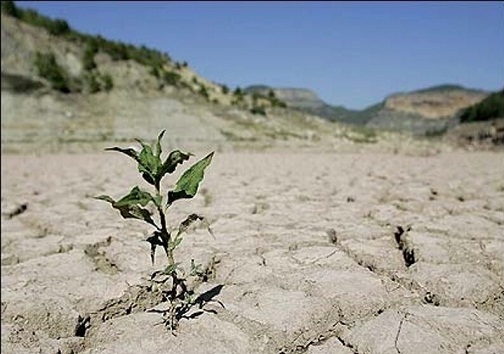 کم آبی بحرانی به پهنای کویر زنگ خطر را به صدا در آورد/کشت زیر پلاستیکی فرصتی برای جبران کمبود آب در سمنان