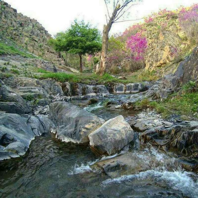 ساخت و سازها در کوچه باغ&zwnj;های طرقبه مرگ معابر سنتی را رقم می&zwnj;زند