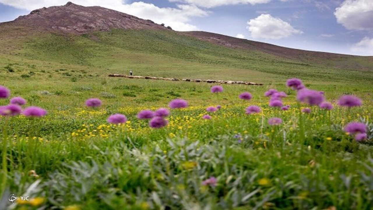 اجرای طرح بیمه مراتع در چهارمحال و بختیاری