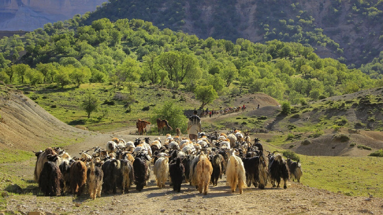 ایل راه‌های باستانی بختیاری ثبت جهانی می‌شوند