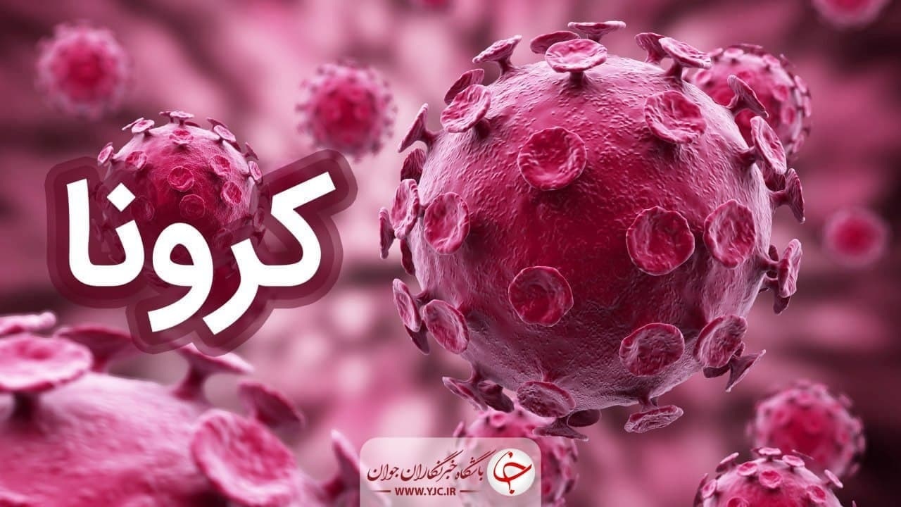 ۳۵۹ بیمار مبتلا به کرونا در بیمارستان‌های زنجان بستری هستند