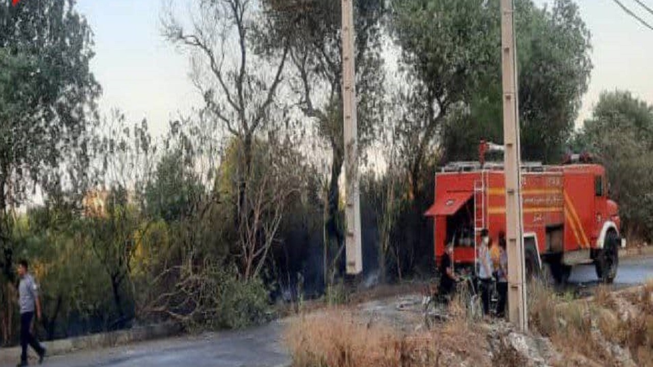 آتش دوباره به جان جنگل زاویه دزفول افتاد