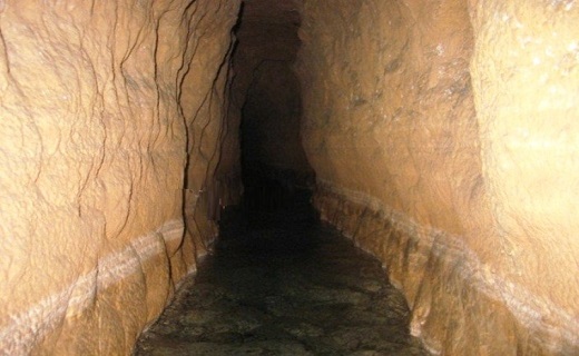 محیط زیست