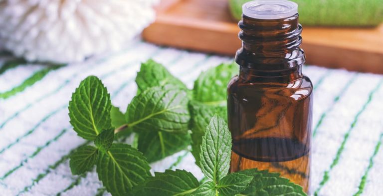 چند روش خانگی برای دور نگه داشتن سوسک ها