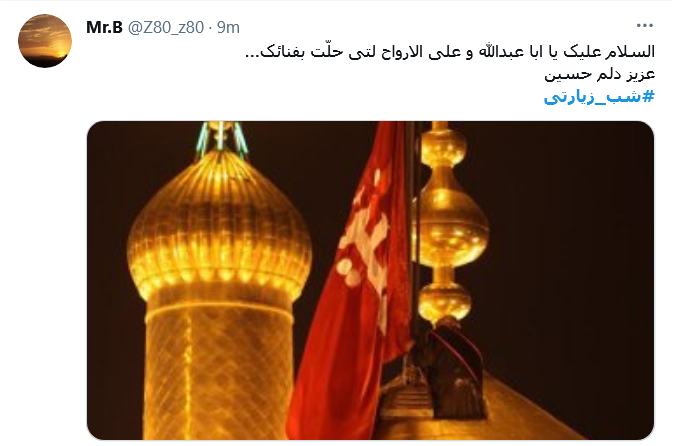 ما را اگر چه بازی دنیا، خراب کرد/ اما به لطف روضه ارباب بهتریم