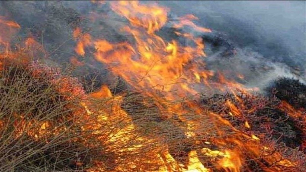 مراتع نصف جهان گرفتار آتش/اصفهان نیازمند بالگرد مجهز به سبد آب‌پاش