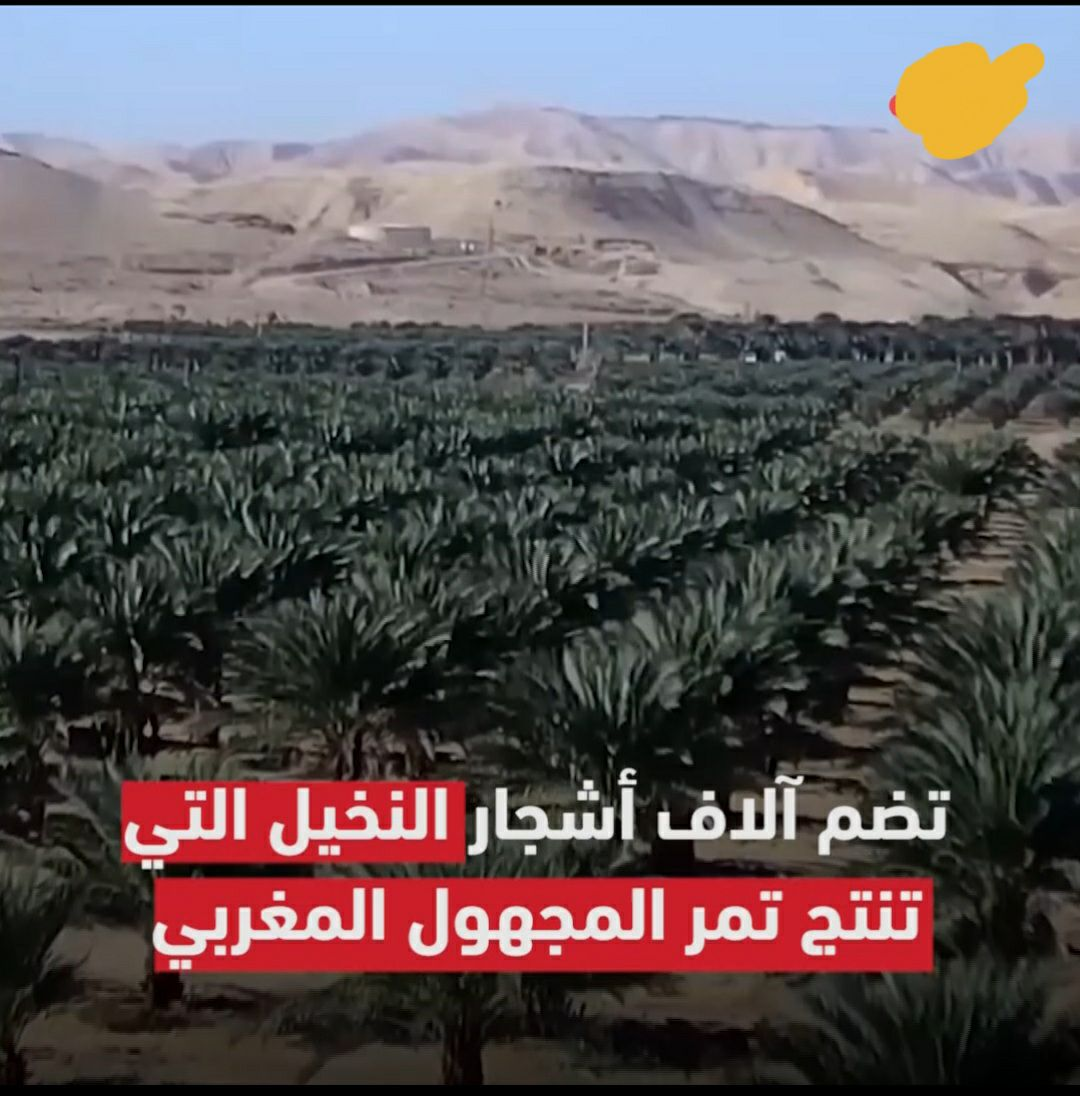 نگاهی به تاریخچه مهاجرت یهودیان مغربی به سرزمین&zwnj;های اشغالی/ از شهرک&zwnj;های سری در مغرب تا مناصب وزارتی در اسرائیل+ تصاویر