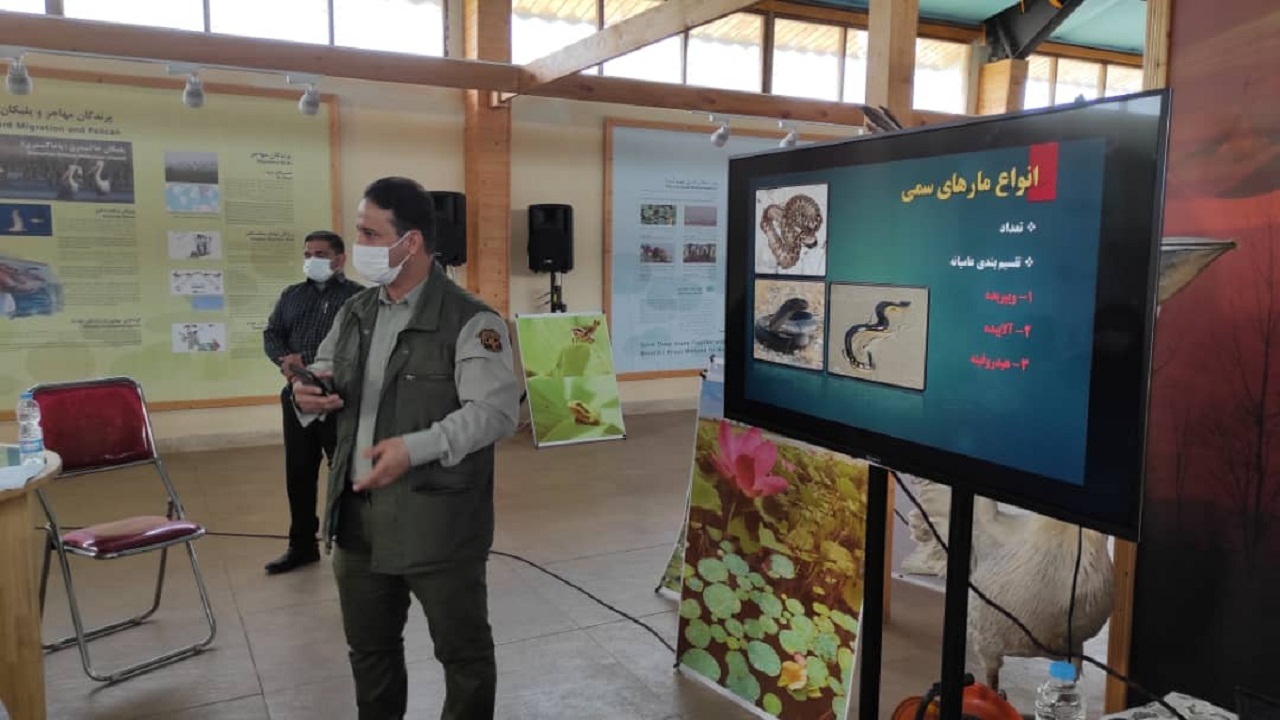 برگزاری کارگاه آموزشی شناسایی مار‌های بومی و سمی در بندرانزلی