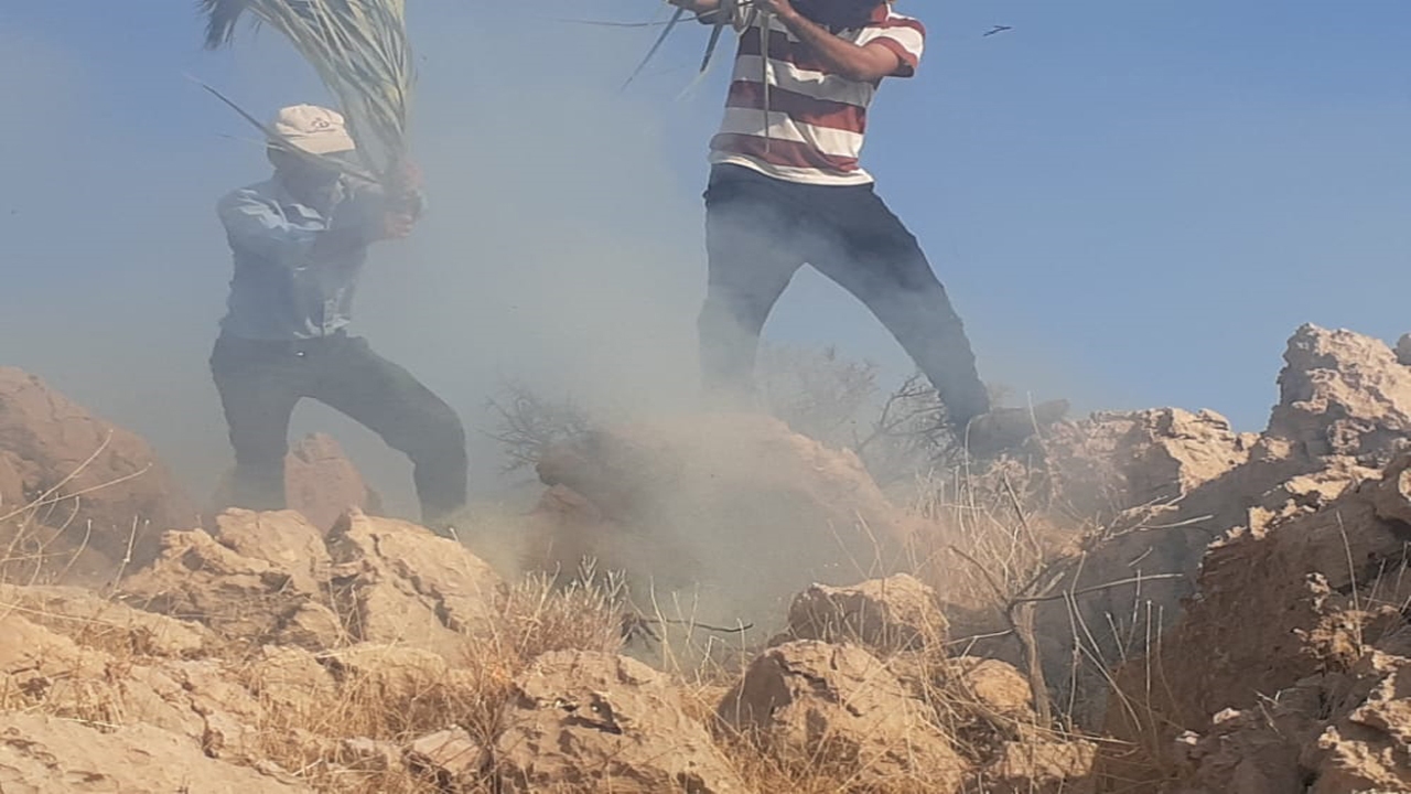 آتش سوزی در کوهمره سرخی میمند