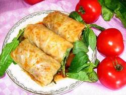 باشگاه خبرنگاران -طرز تهیه دلمه کباب هلندی