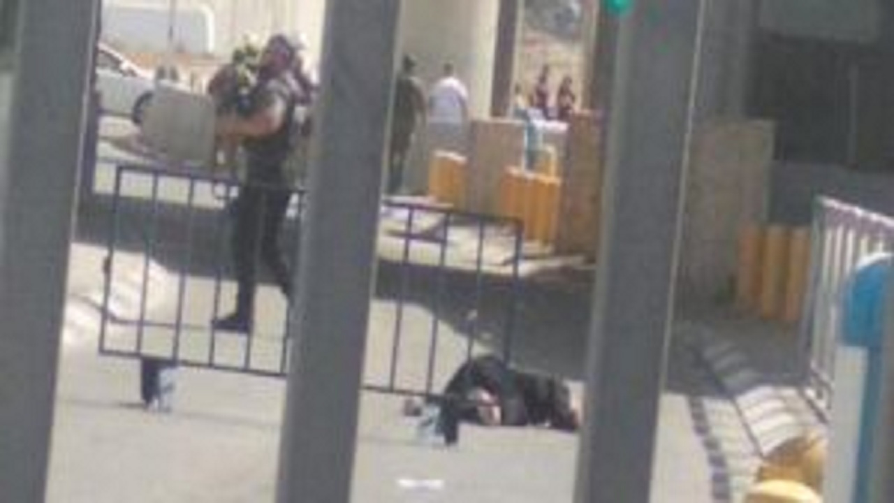 تاکید گروه‌های فلسطین بر لزوم تشدید انتفاضه پس از شهادت آزاده فلسطینی