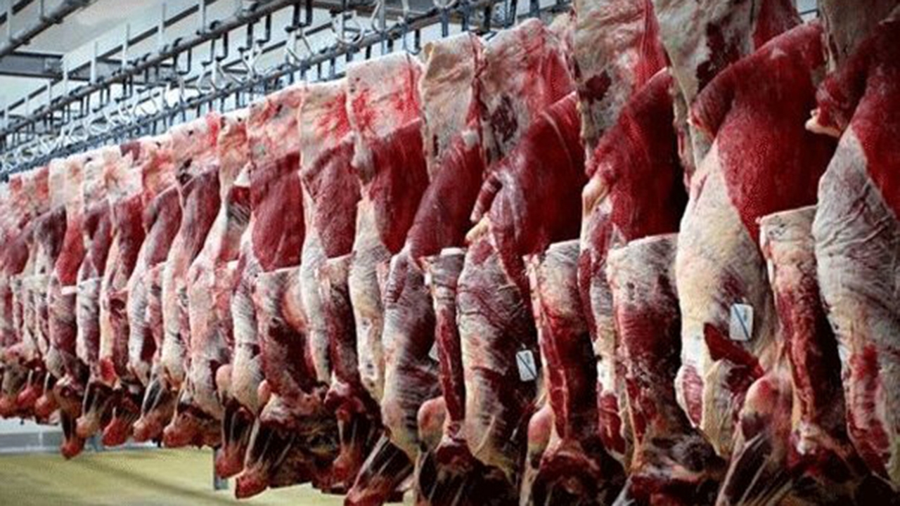 تخصیص ۴۶ میلیارد تومان اعتبار تامین زنجیره گوشت قرمز عشایر فارس