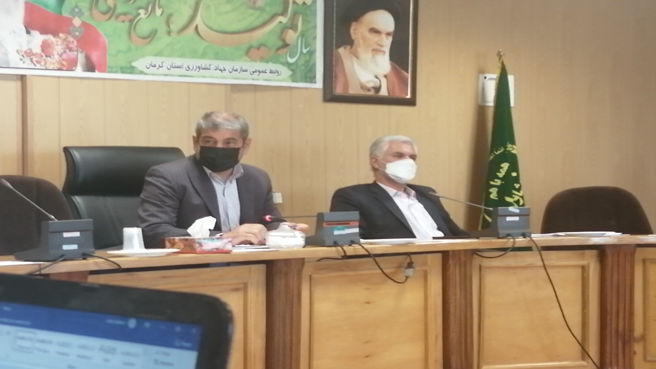 بهره برداری از ۷۸ پروژه کشاورزی ودامپروری در استان کرمان