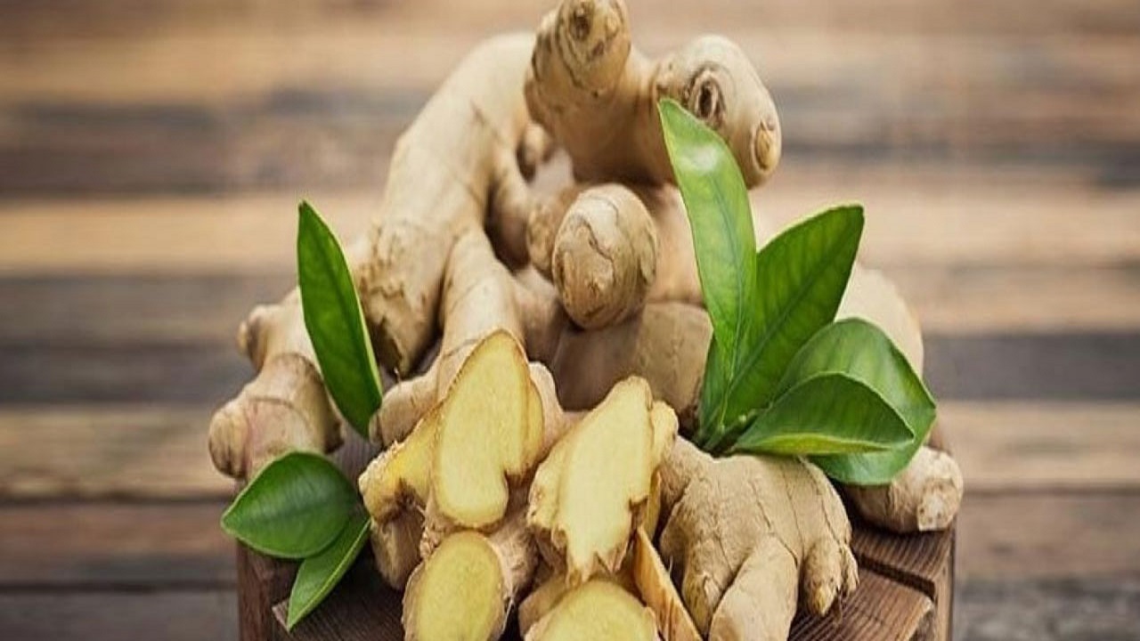 مواد غذایی ضد نفخ را بشناسید