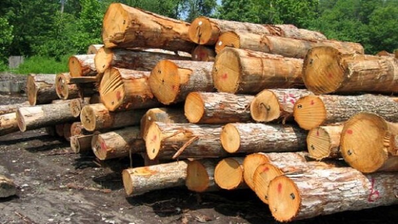کشف بیش از ۴۰ اصله چوب‌آلات جنگلی قاچاق در استان اردبیل