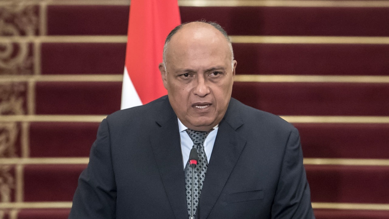 مصر: رابطه قاهره و آنکارا با احترام متقابل پیشرفت خواهد کرد