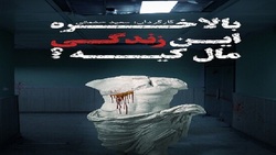 بالاخره این زندگی مال کیه؟ مال منه یا شما؟!
