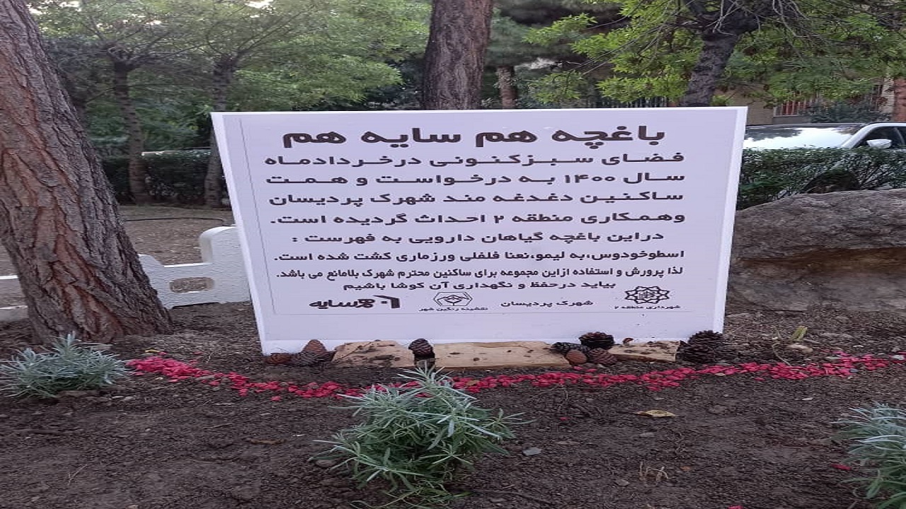 آنچه درکوچه پس کوچه های تهران گذشته است