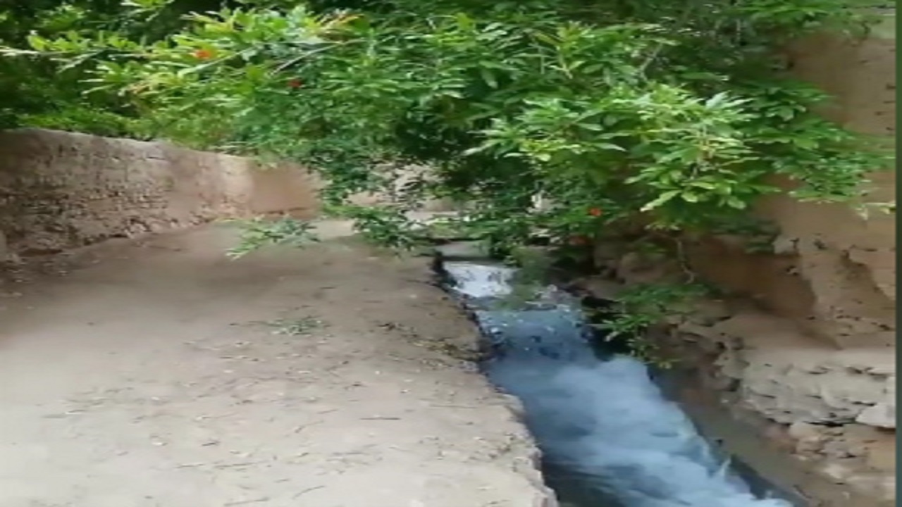 کوچه باغ‌های تفت در واپسین روز‌های بهار + فیلم