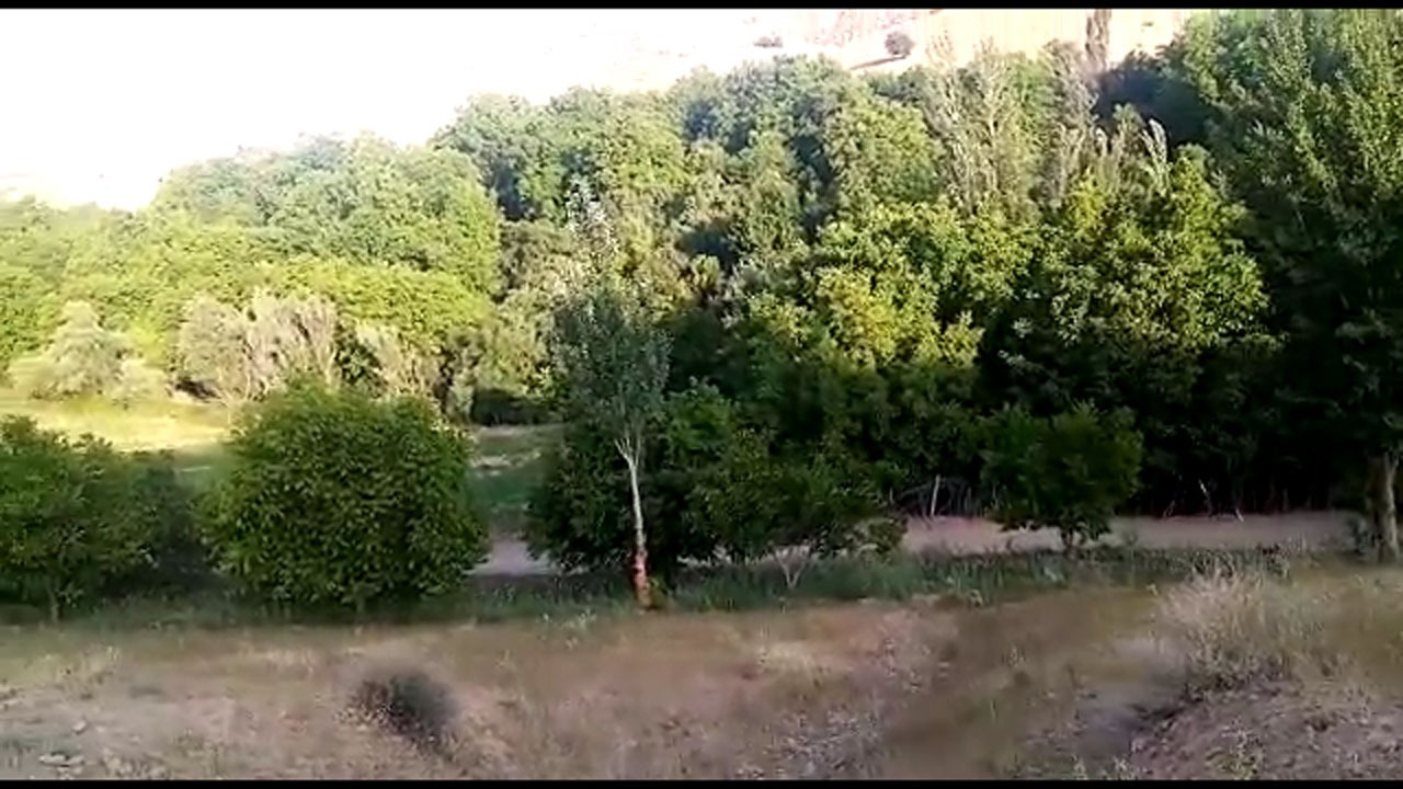 از