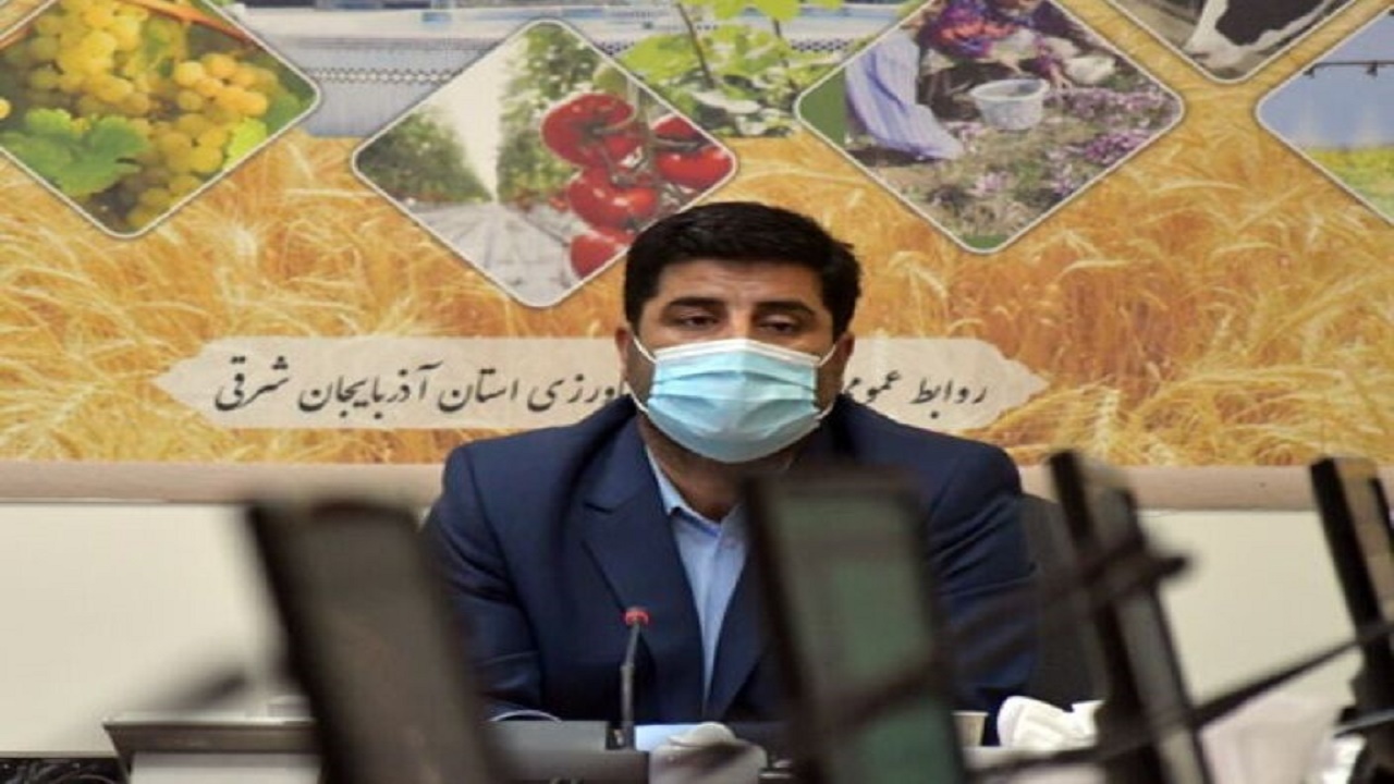 ظرفیت فراوری ۸۰ درصد تولیدات کشاورزی آذربایجان شرقی فراهم است