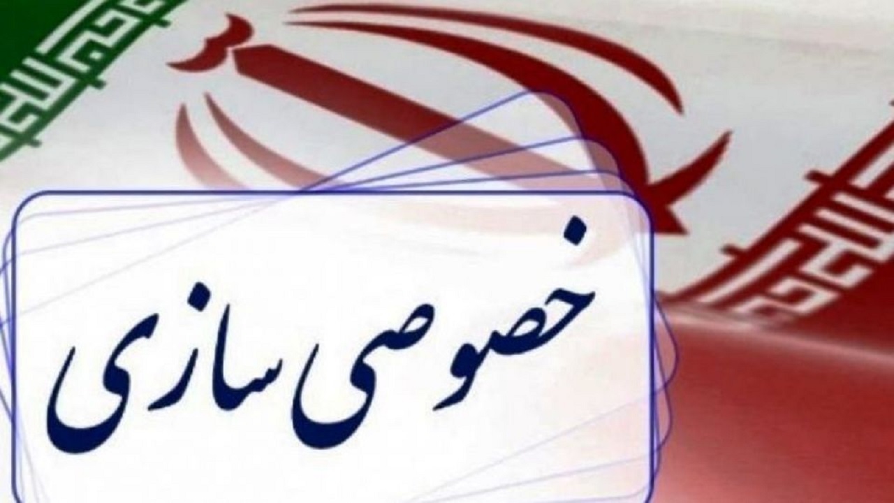 موانع پیش روی خصوصی سازی/ ضرورت اصلاح ساختار دولت برای بهبود روند واگذاری‌ها