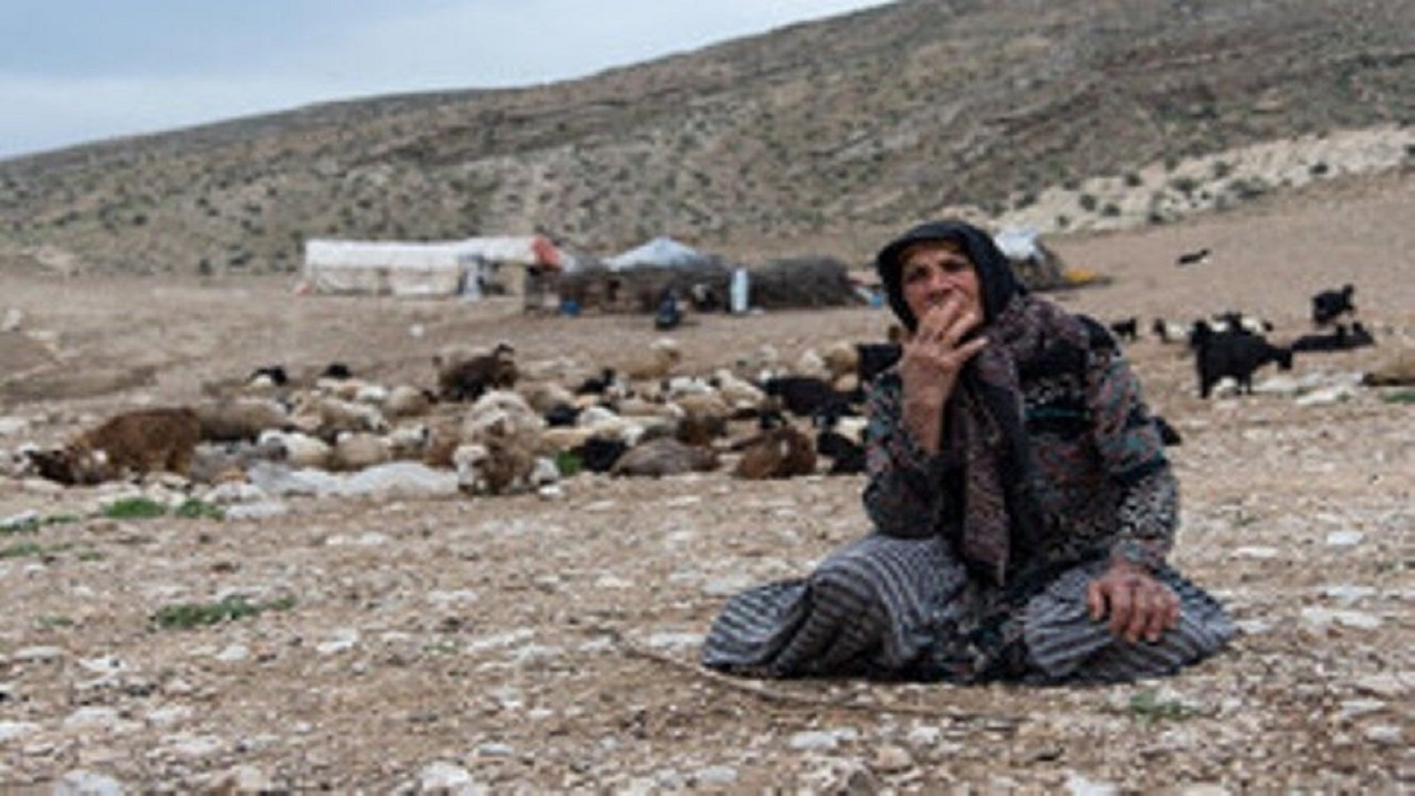 خشکسالی ۶۲ هزار میلیارد ریال به مراتع عشایر خسارت زد