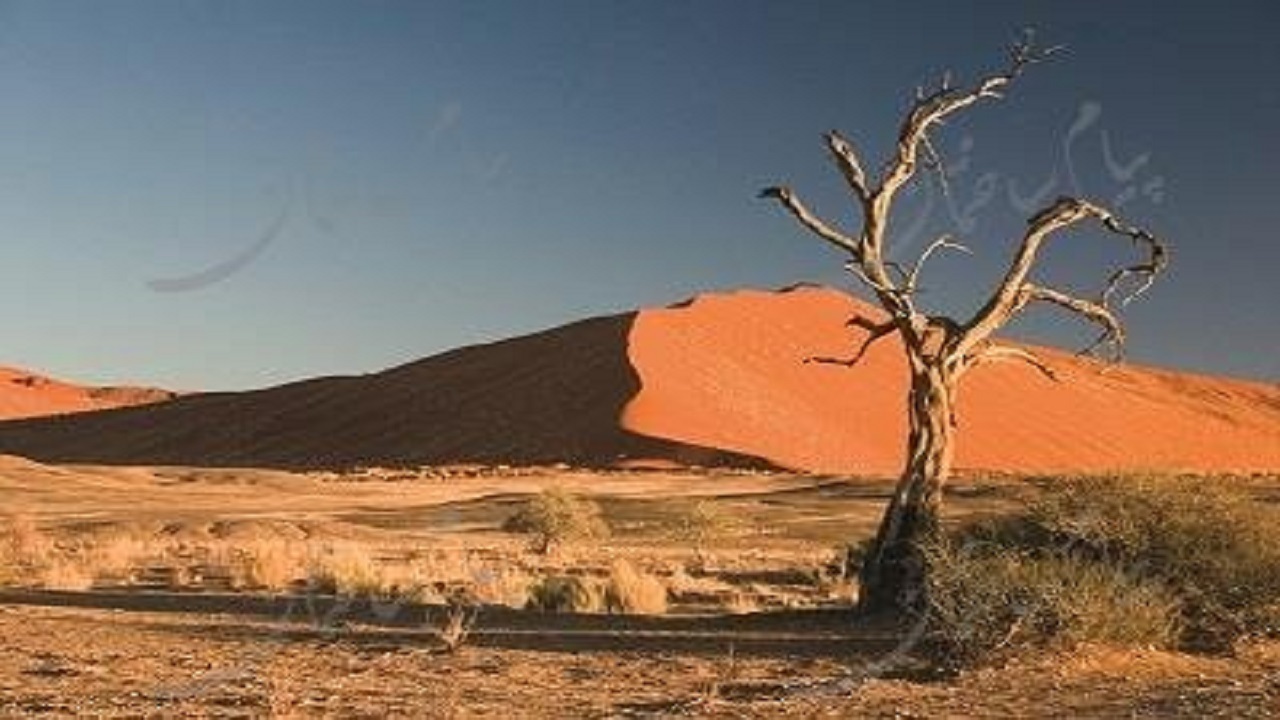 تخریب منابع ارضی تهدیدی برای بشریت به شمار می‌آید
