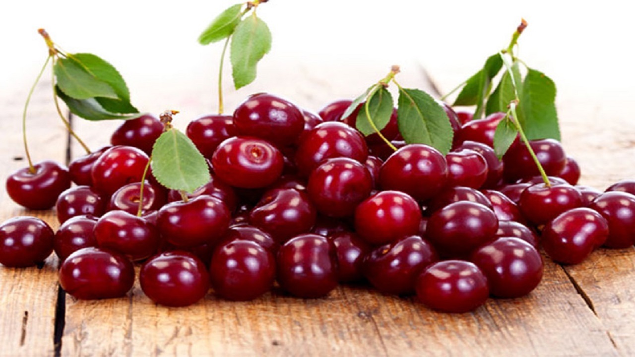 برداشت ۴۰۰ تن آلبالو در گلستان