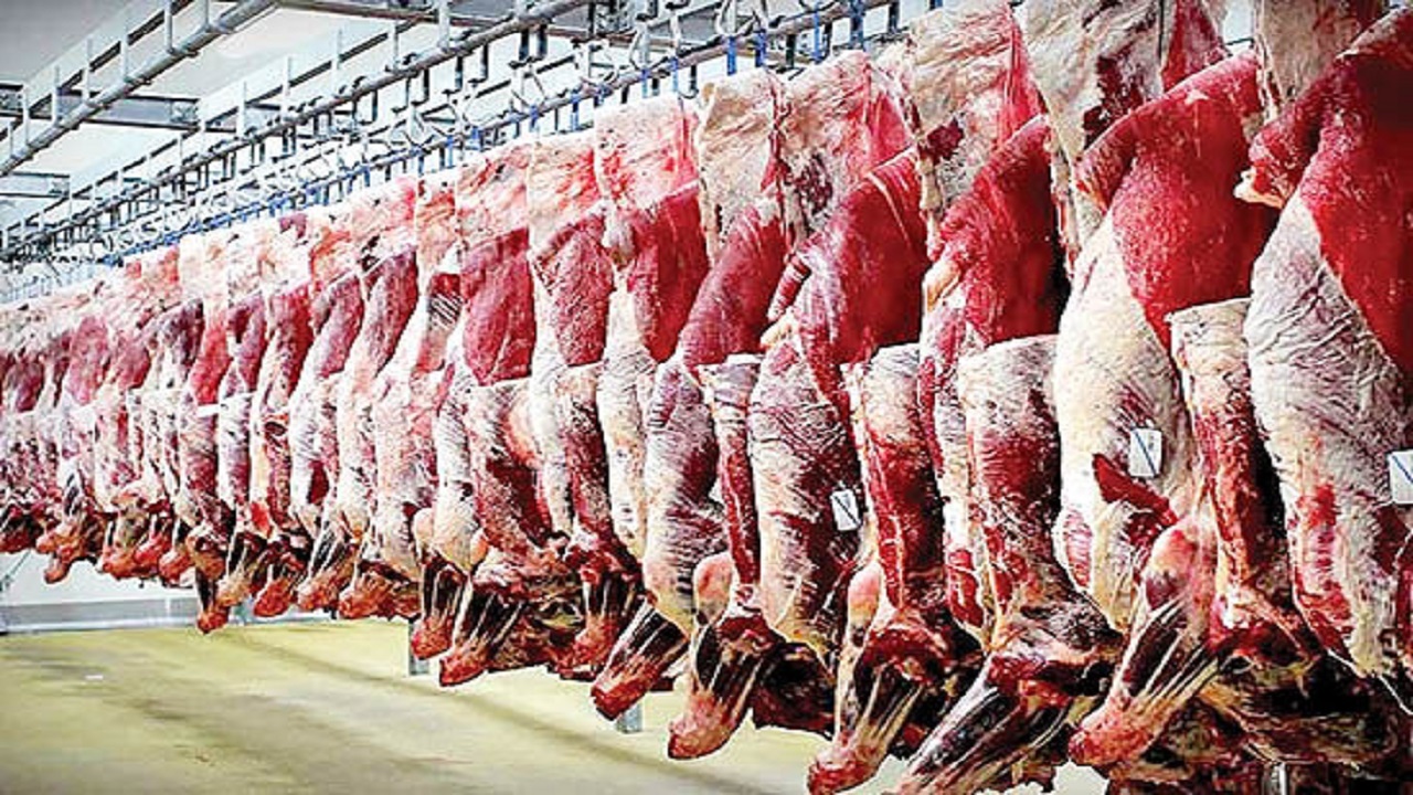 تولید بیش از ۱۵ هزار تن گوشت قرمز در خراسان جنوبی