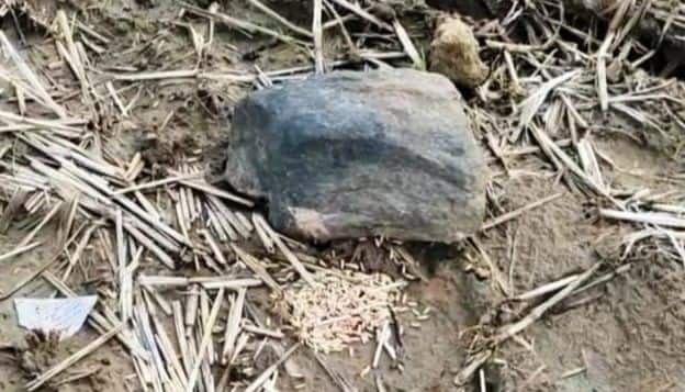 بت سنگی بت سنگی