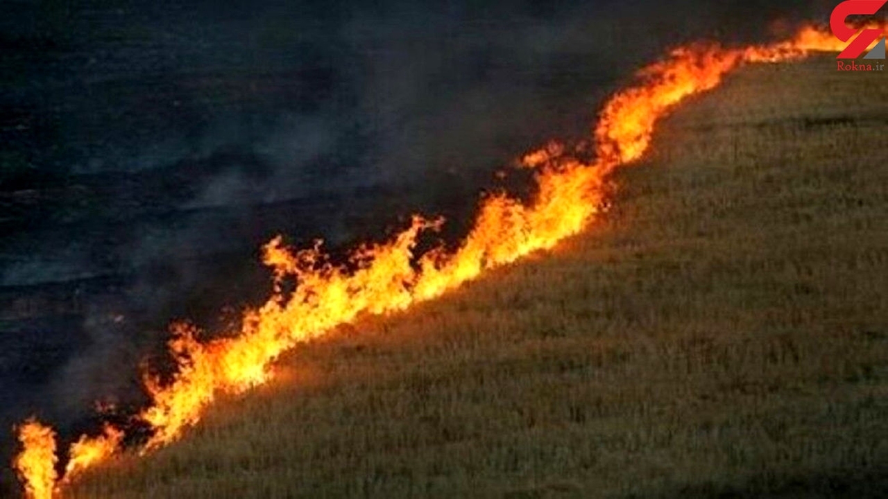 پوشش گیاهی در منطقه کوی مکریان مهاباد طعمه حریق شد