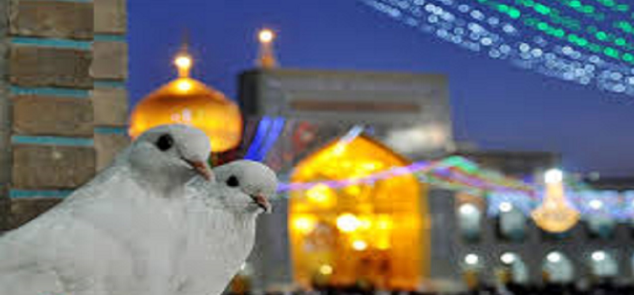 آمادگی مشهد برای جشن میلاد امام رضا (ع)
