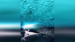 نکاتی برای حفاظت از مغز و بهبود عملکرد آن + فیلم