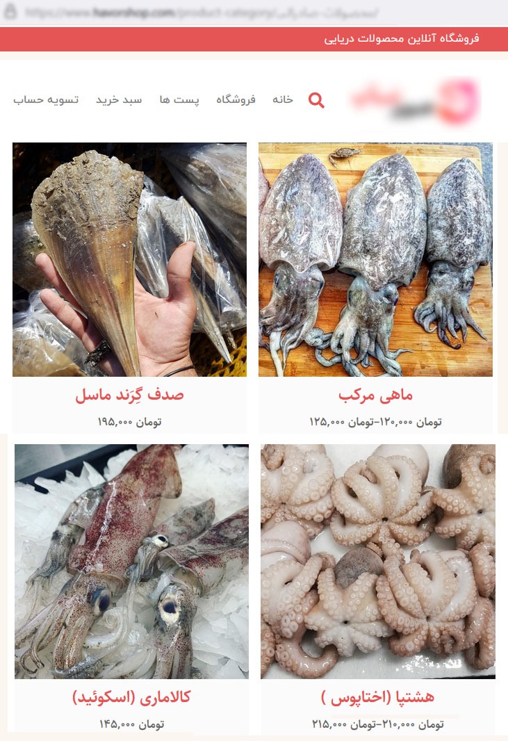 صدف
