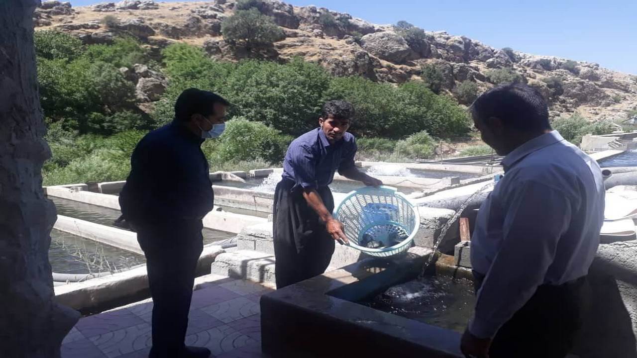 دو برابر شدن اعتبارات اشتغال زایی شهرستان سیروان