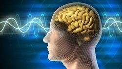 چربی سوزهای طبیعی برای لاغری + فیلم