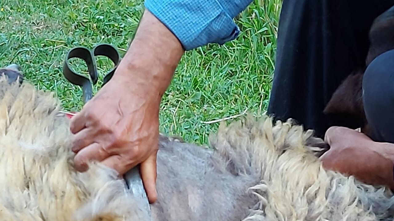سنت دیرینه چهره گران در روستای امیر آباد یامچی مرند