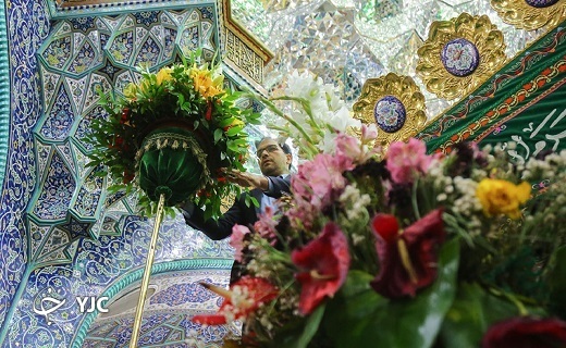 گل&zwnj;آرایی ضریح مطهر بانوی کرامت به مناسبت میلاد امام رضا(ع)