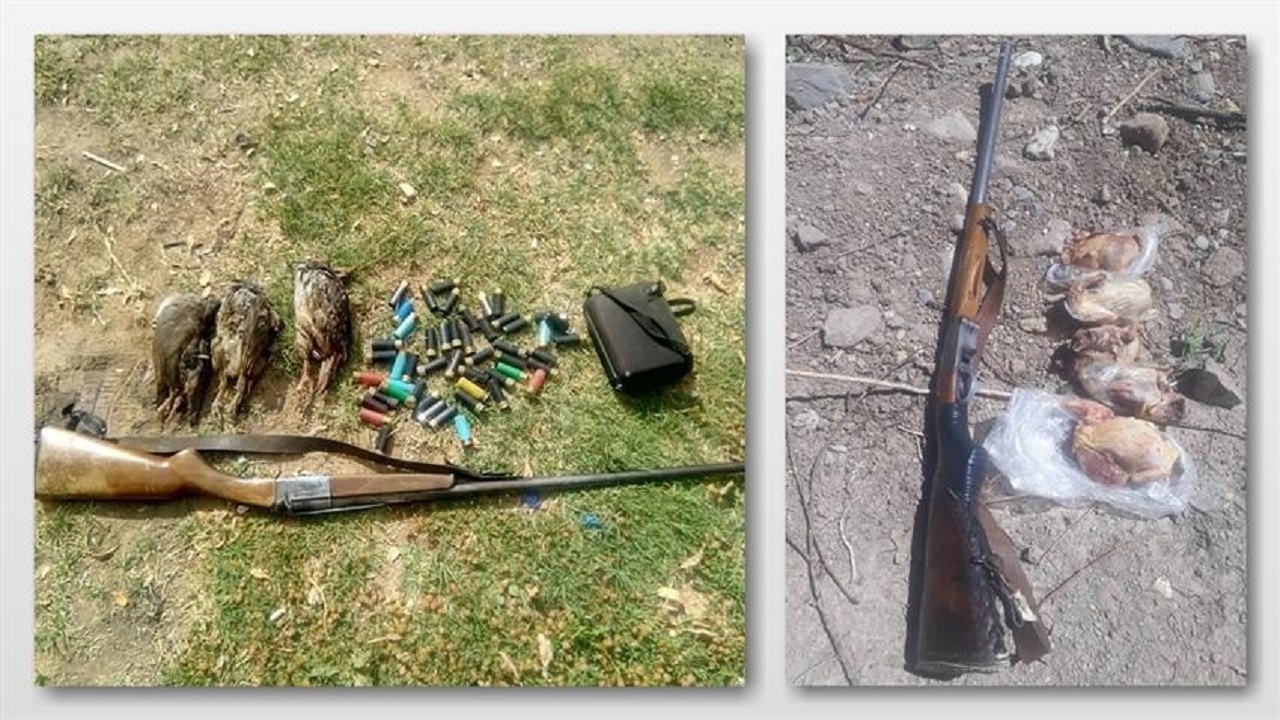 دستگیری شکارچی متخلف در شهرستان خلخال