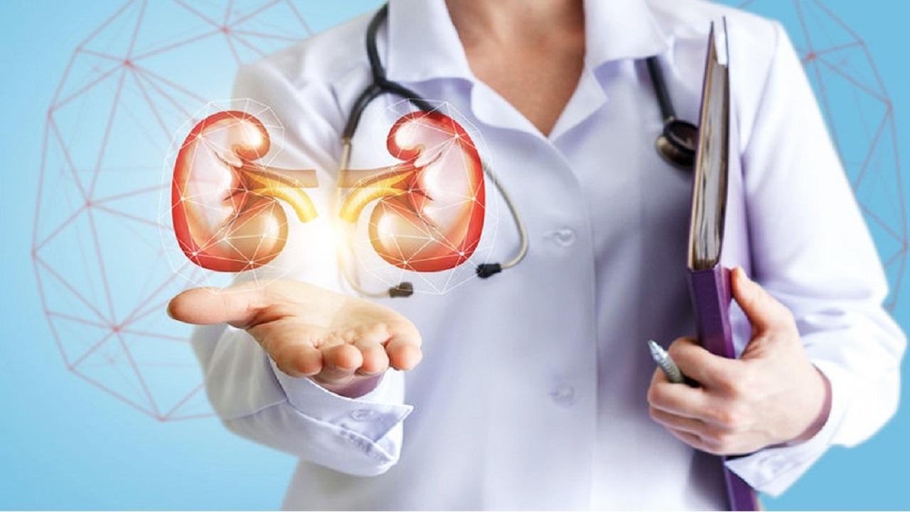 هر آنچه باید درباره متخصص کلیه بدانید