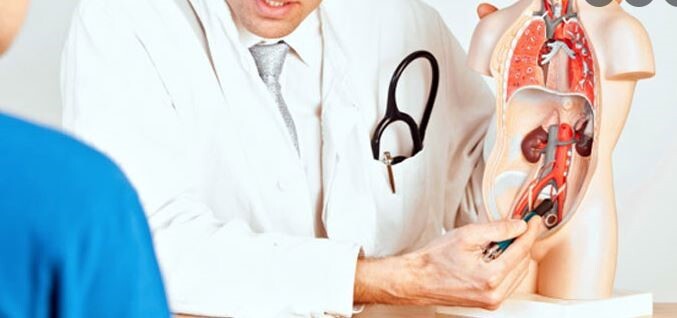 هر آنچه باید درباره متخصص کلیه بدانید