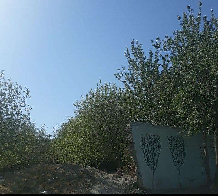 کیسه دوزی شهرداری و سودجویان برای تغییر کاربری باغات تهران/باغات تهران پاتوقی برای رسیدن به اهداف سودجویانه