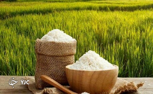 جذاب&zwnj;ترین اخبار استان&zwnj;ها