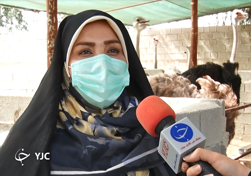 بهمنی پرورش دهنده شترمرغ شترمرغ، بال و پَر اشتغال که پای صادرات ندارد