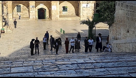 آتش افروزی شهرک نشینان با فراخوان برای تخریب مسجد الاقصی
