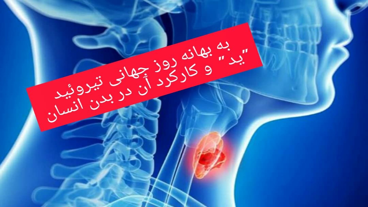 «ید» چه کارکردی در بدن انسان دارد؟
